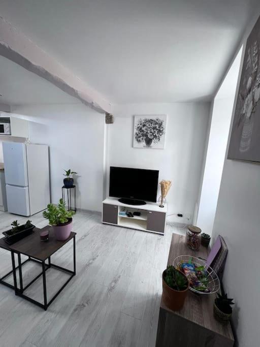 Charmante Maison Renovee Nérac Buitenkant foto