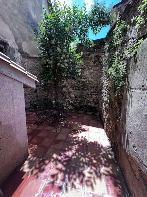 Charmante Maison Renovee Nérac Buitenkant foto